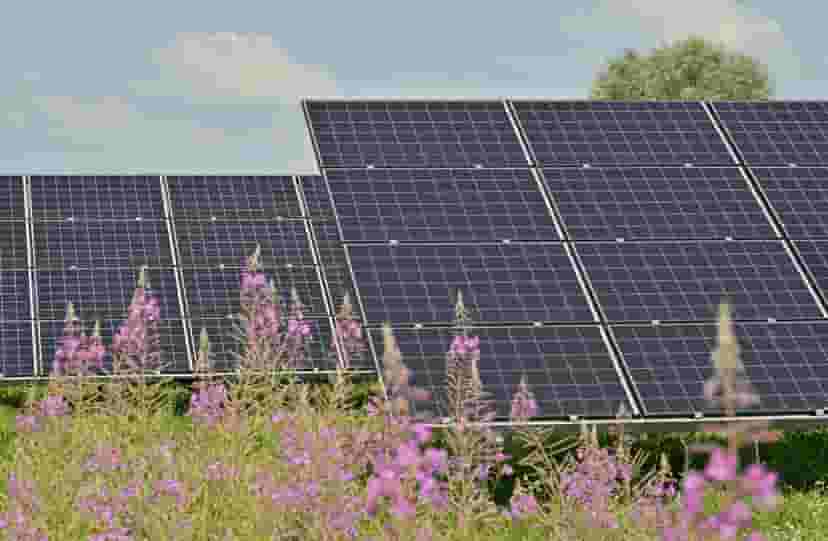 solar-panel-flowers